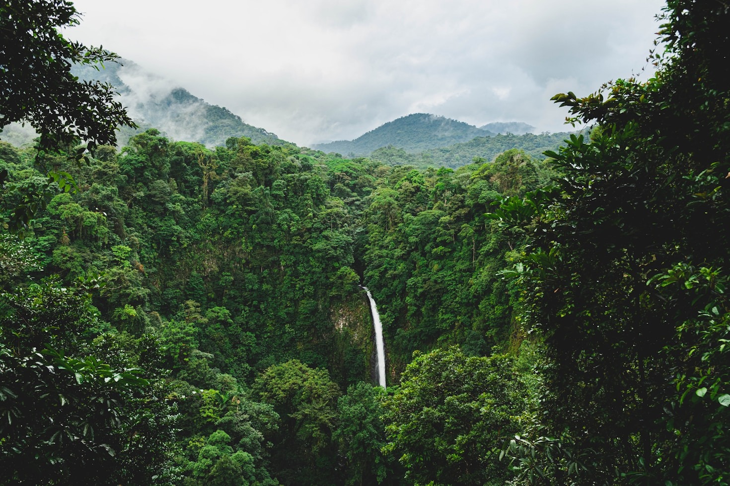 Guía definitiva de gastronomía costarricense para viajeros
