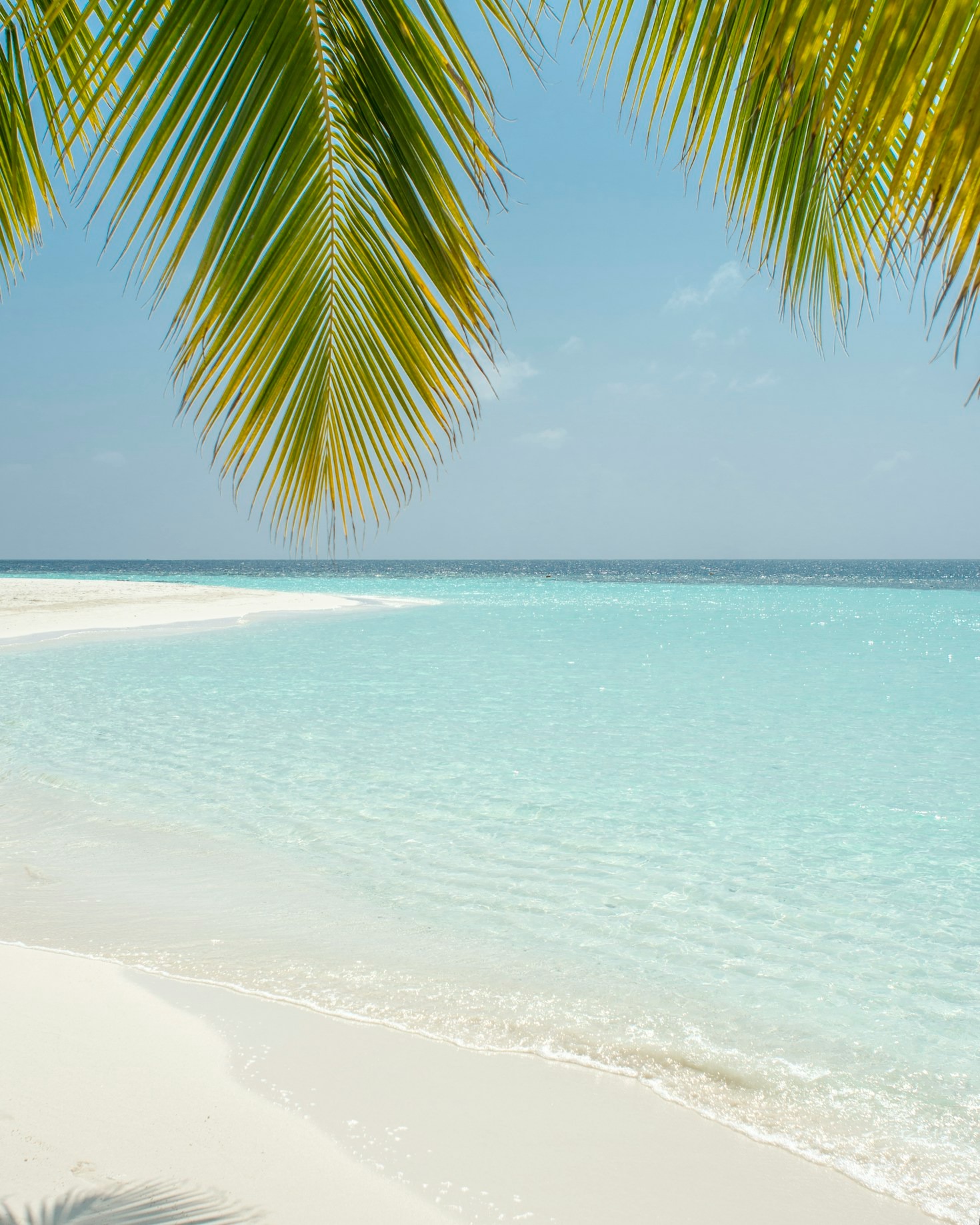 Cinco playas ocultas que debes conocer pronto